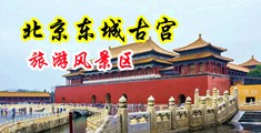 大鸡巴中国操比视频中国北京-东城古宫旅游风景区